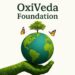 oxivedafoundation.com